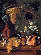 Flowers and Shells Juan de  Espinosa